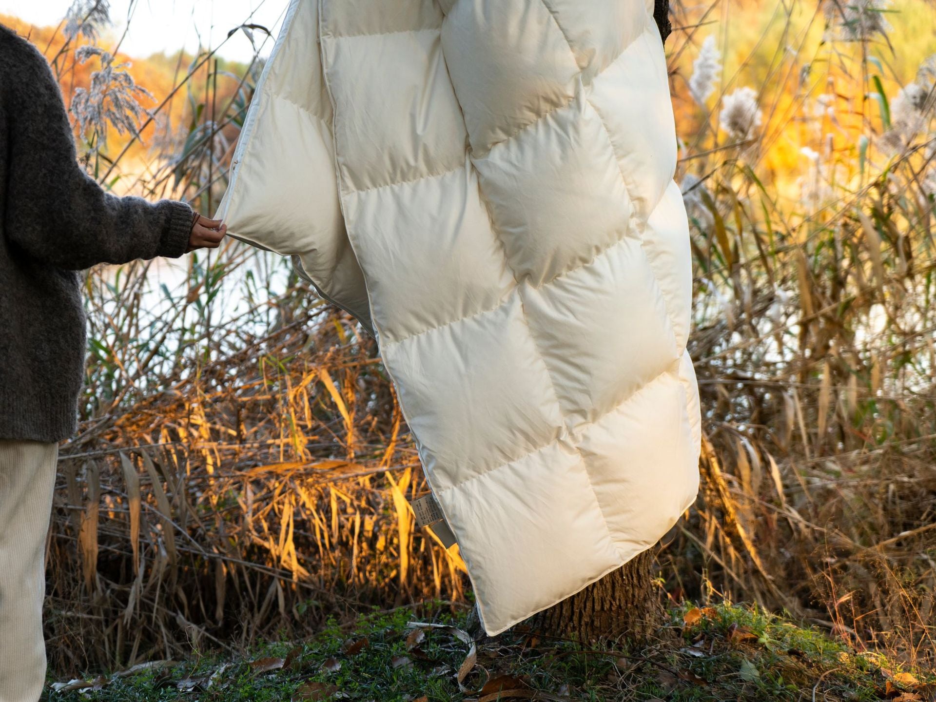 Down Quilt 95% White Goose Down Thickened Warm Winter Quilt Double Spring and Autumn Quilt Core