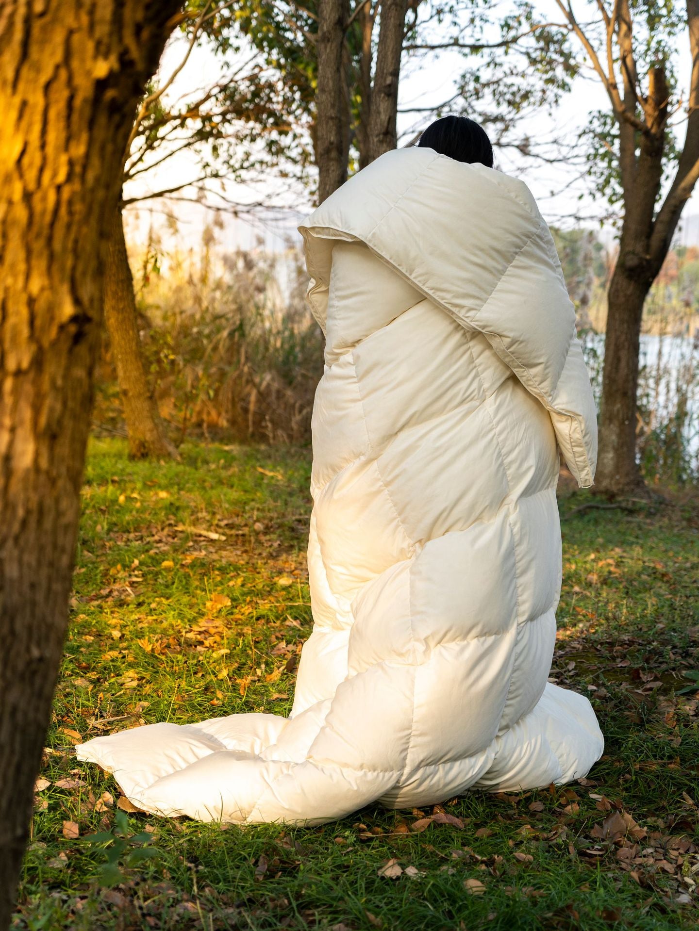 Down Quilt 95% White Goose Down Thickened Warm Winter Quilt Double Spring and Autumn Quilt Core