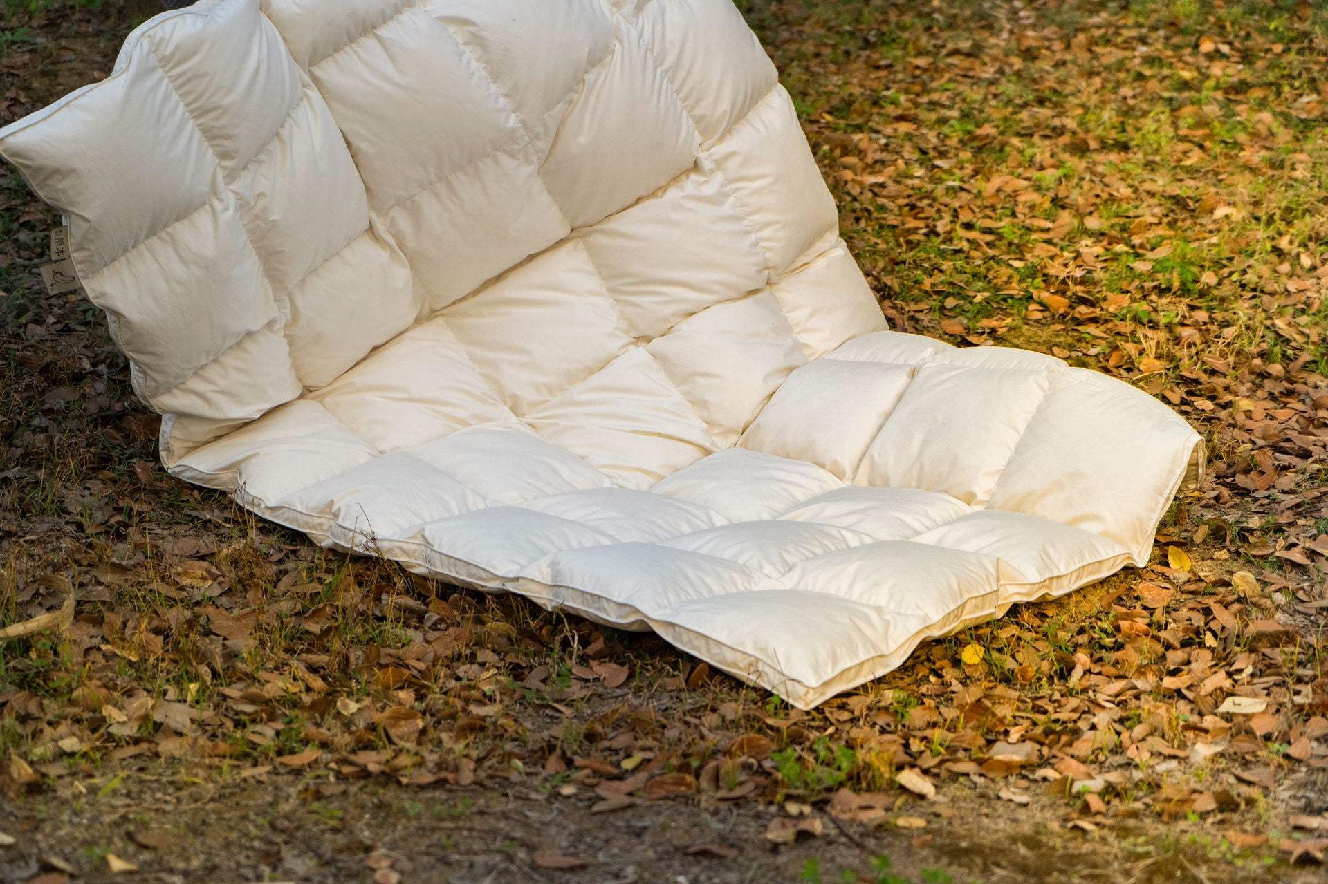 Down Quilt 95% White Goose Down Thickened Warm Winter Quilt Double Spring and Autumn Quilt Core