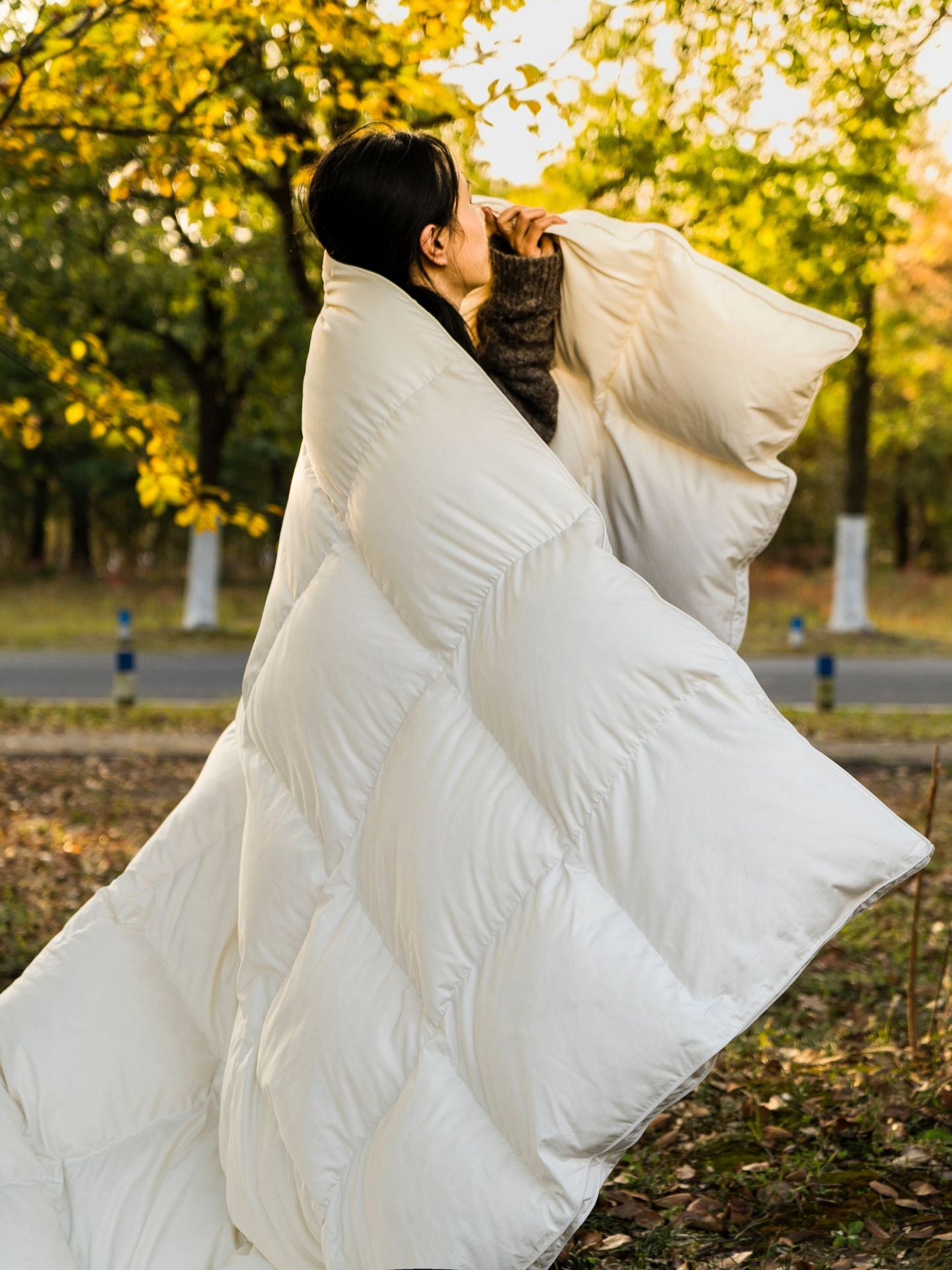 Down Quilt 95% White Goose Down Thickened Warm Winter Quilt Double Spring and Autumn Quilt Core