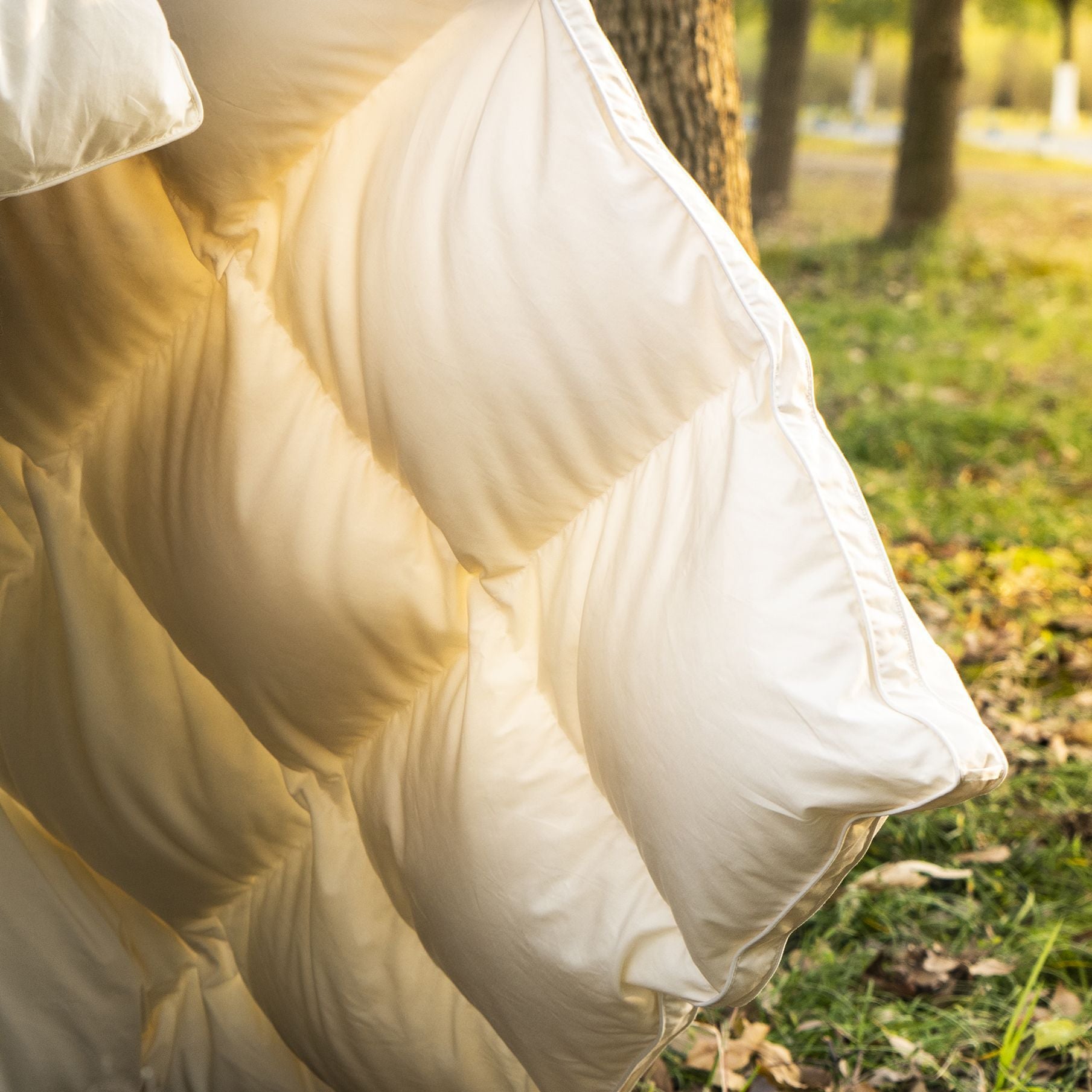 Down Quilt 95% White Goose Down Thickened Warm Winter Quilt Double Spring and Autumn Quilt Core