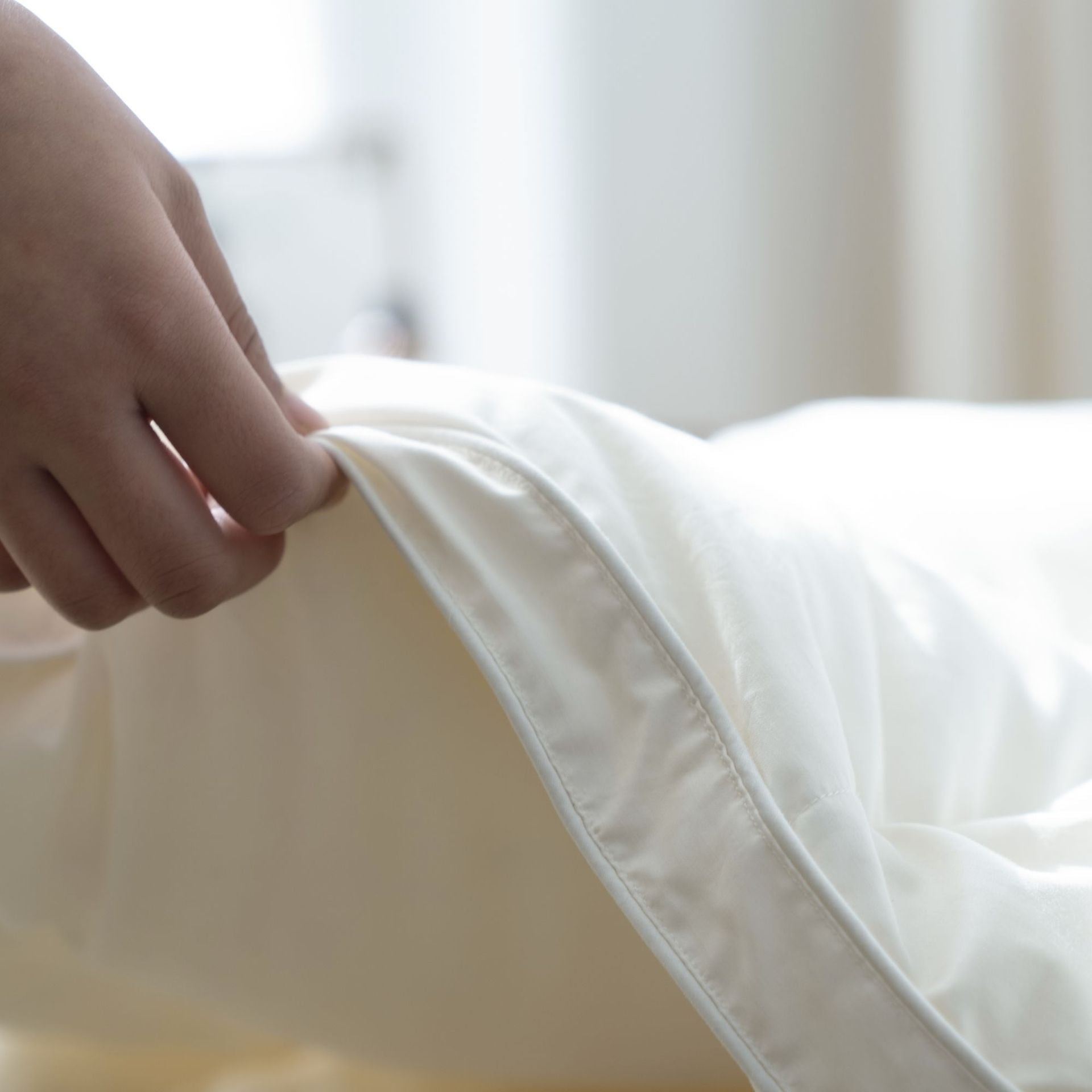 Down Quilt 95% White Goose Down Thickened Warm Winter Quilt Double Spring and Autumn Quilt Core