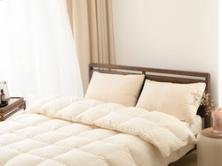 Down Quilt 95% White Goose Down Thickened Warm Winter Quilt Double Spring and Autumn Quilt Core