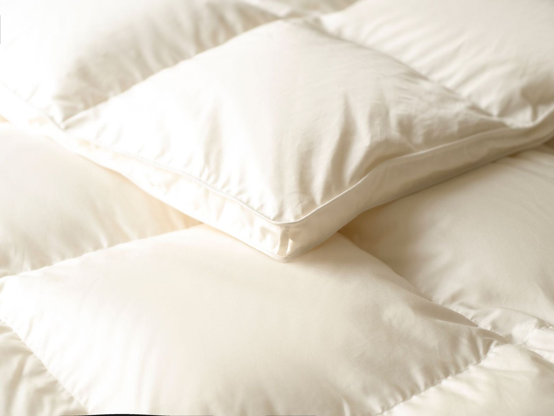 Down Quilt 95% White Goose Down Thickened Warm Winter Quilt Double Spring and Autumn Quilt Core