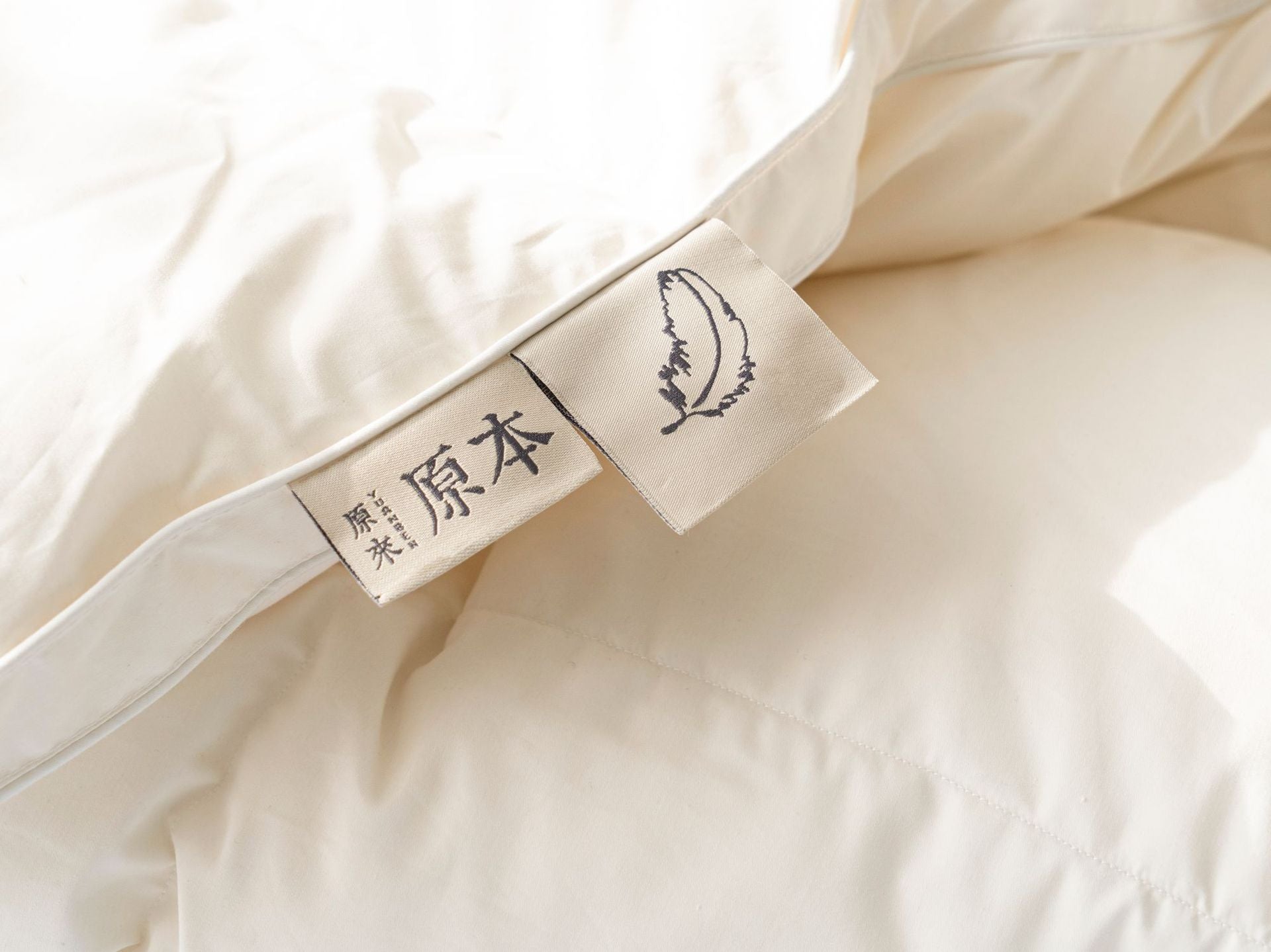 Down Quilt 95% White Goose Down Thickened Warm Winter Quilt Double Spring and Autumn Quilt Core