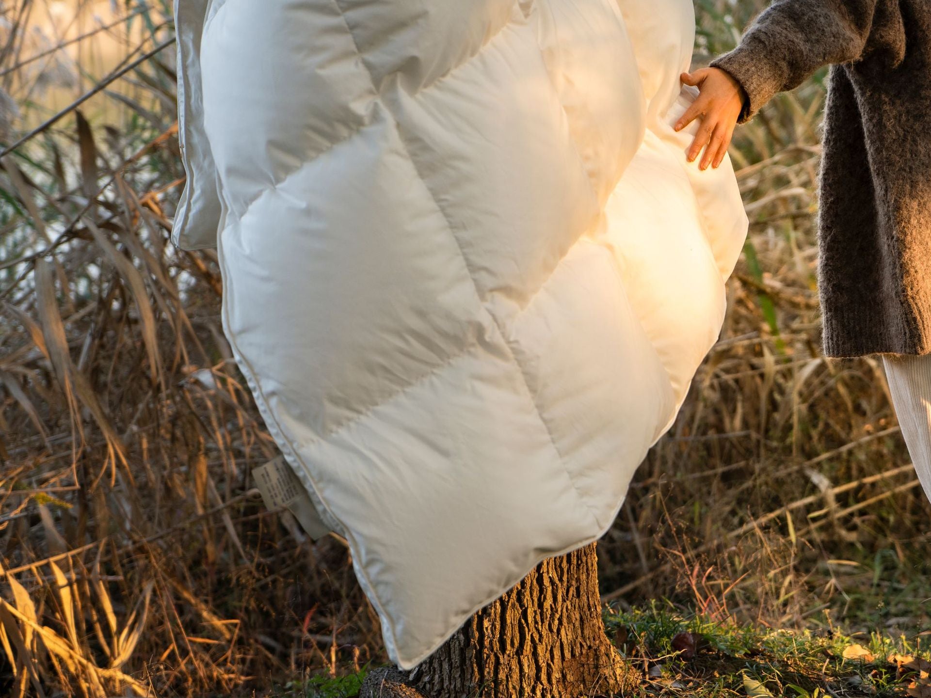 Down Quilt 95% White Goose Down Thickened Warm Winter Quilt Double Spring and Autumn Quilt Core