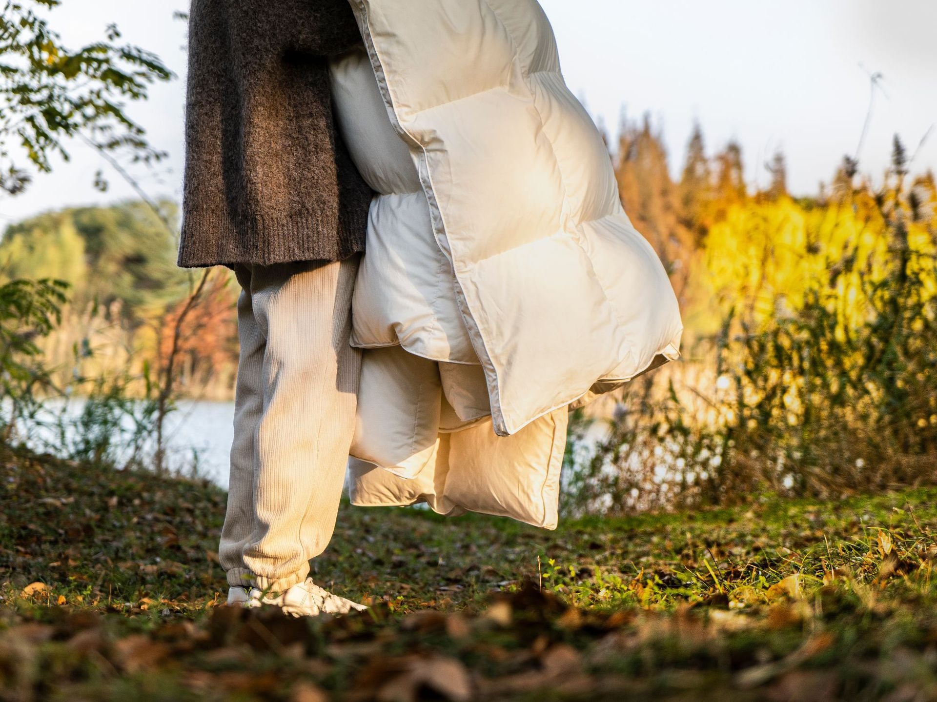 Down Quilt 95% White Goose Down Thickened Warm Winter Quilt Double Spring and Autumn Quilt Core