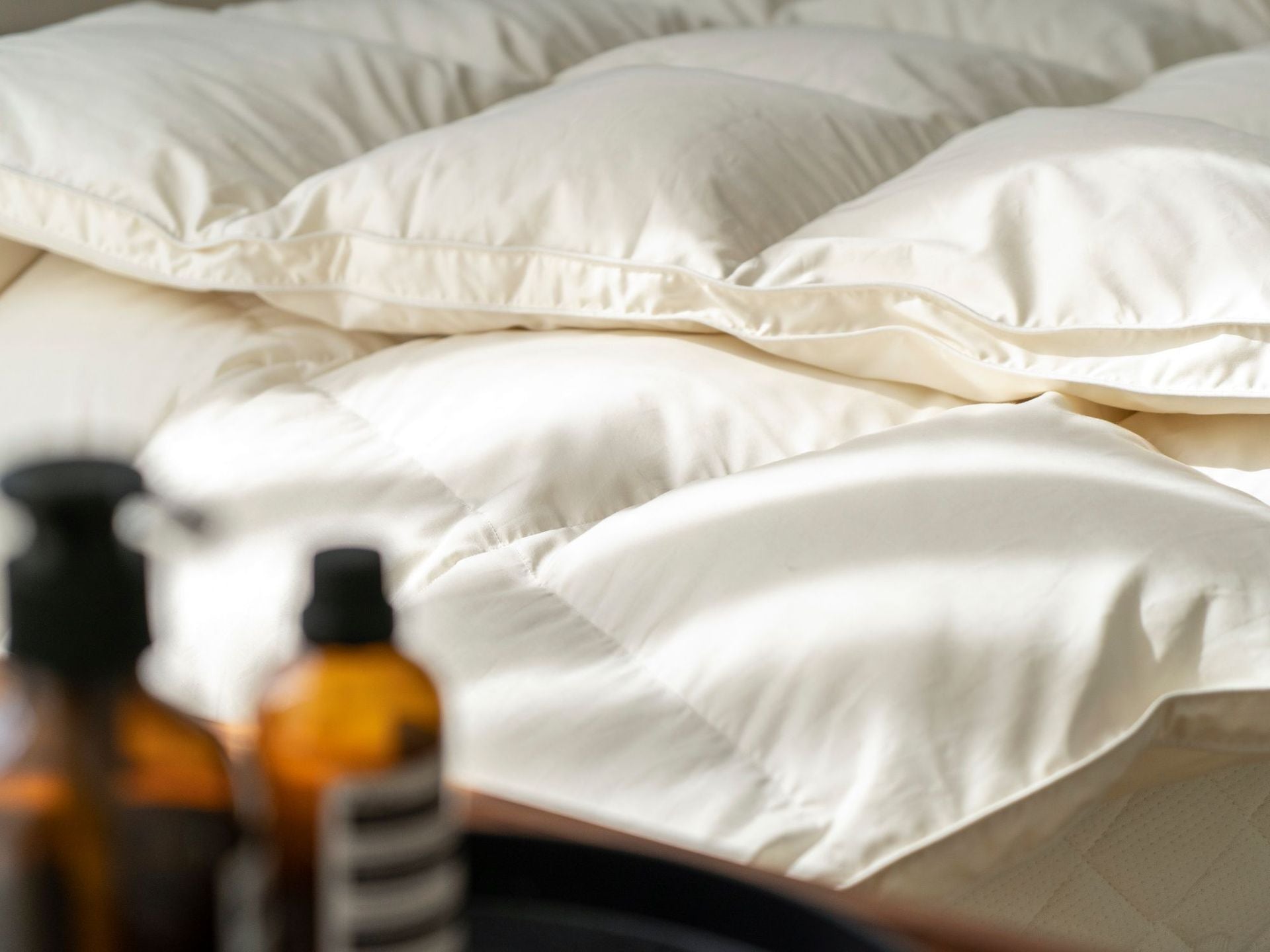 Down Quilt 95% White Goose Down Thickened Warm Winter Quilt Double Spring and Autumn Quilt Core