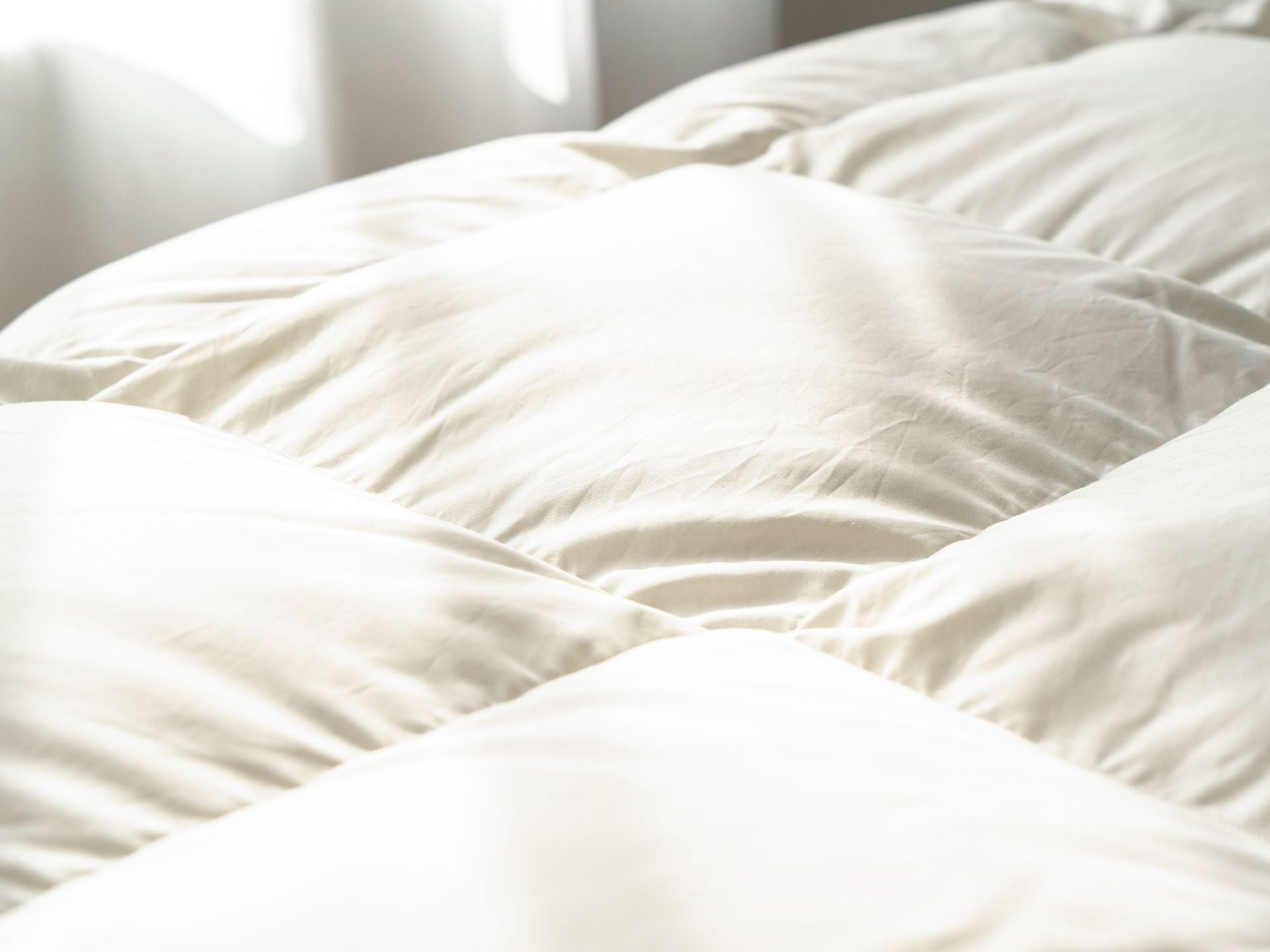 Down Quilt 95% White Goose Down Thickened Warm Winter Quilt Double Spring and Autumn Quilt Core