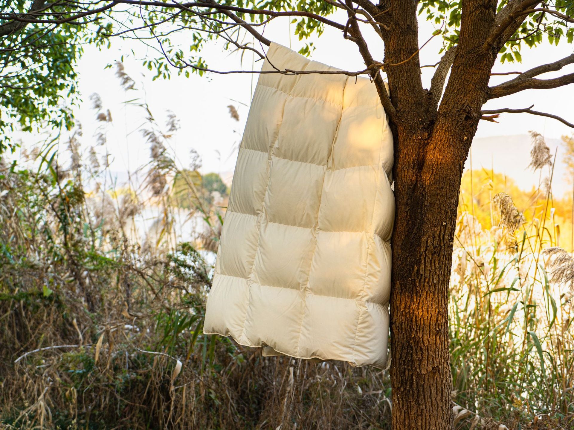 Down Quilt 95% White Goose Down Thickened Warm Winter Quilt Double Spring and Autumn Quilt Core