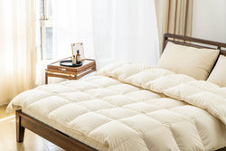 Down Quilt 95% White Goose Down Thickened Warm Winter Quilt Double Spring and Autumn Quilt Core