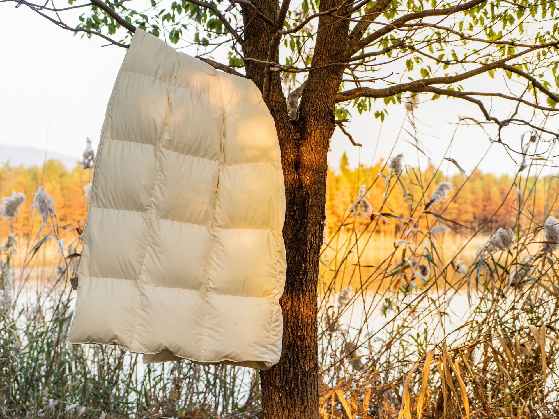 Down Quilt 95% White Goose Down Thickened Warm Winter Quilt Double Spring and Autumn Quilt Core