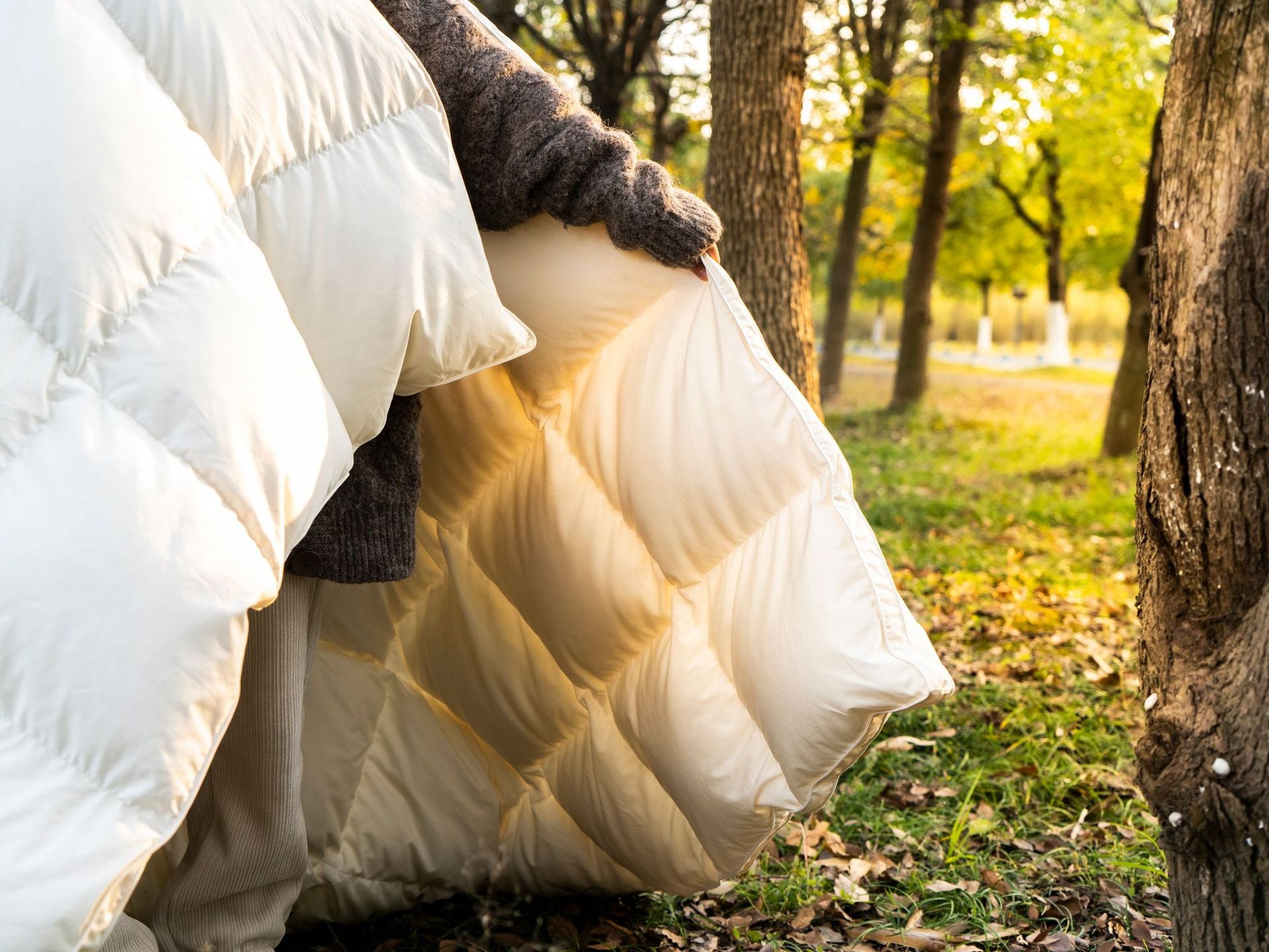 Down Quilt 95% White Goose Down Thickened Warm Winter Quilt Double Spring and Autumn Quilt Core