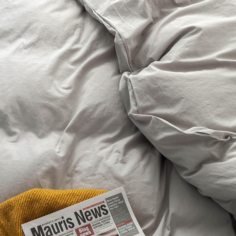 Solid Color100%100% Cotton Spring and Autumn Four-Piece Bedding Set